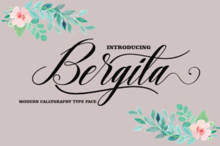 Bergita: A Powerful Tool for Modern Users