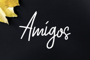 Discover the Power of Amigos in Everyday Life