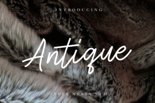 Discover the Timeless Appeal of Antique