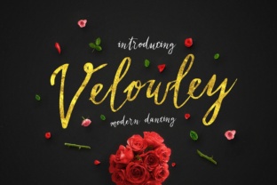 How Velowley Can Transform Your Daily Workflow
