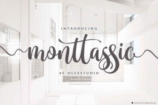 Monttassic Script: A Strategic Tool for Clearer Communication and Better Outcomes