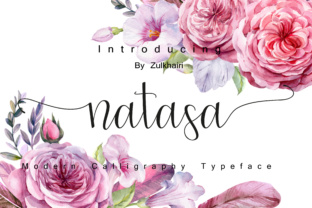 Natasa: A Comprehensive Evaluation for Informed Decision-Making