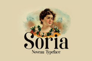 Soria: A Practical Tool for Everyday Use