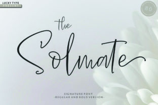 The Solmate Script: A Practical Guide to Avoiding Common Pitfalls