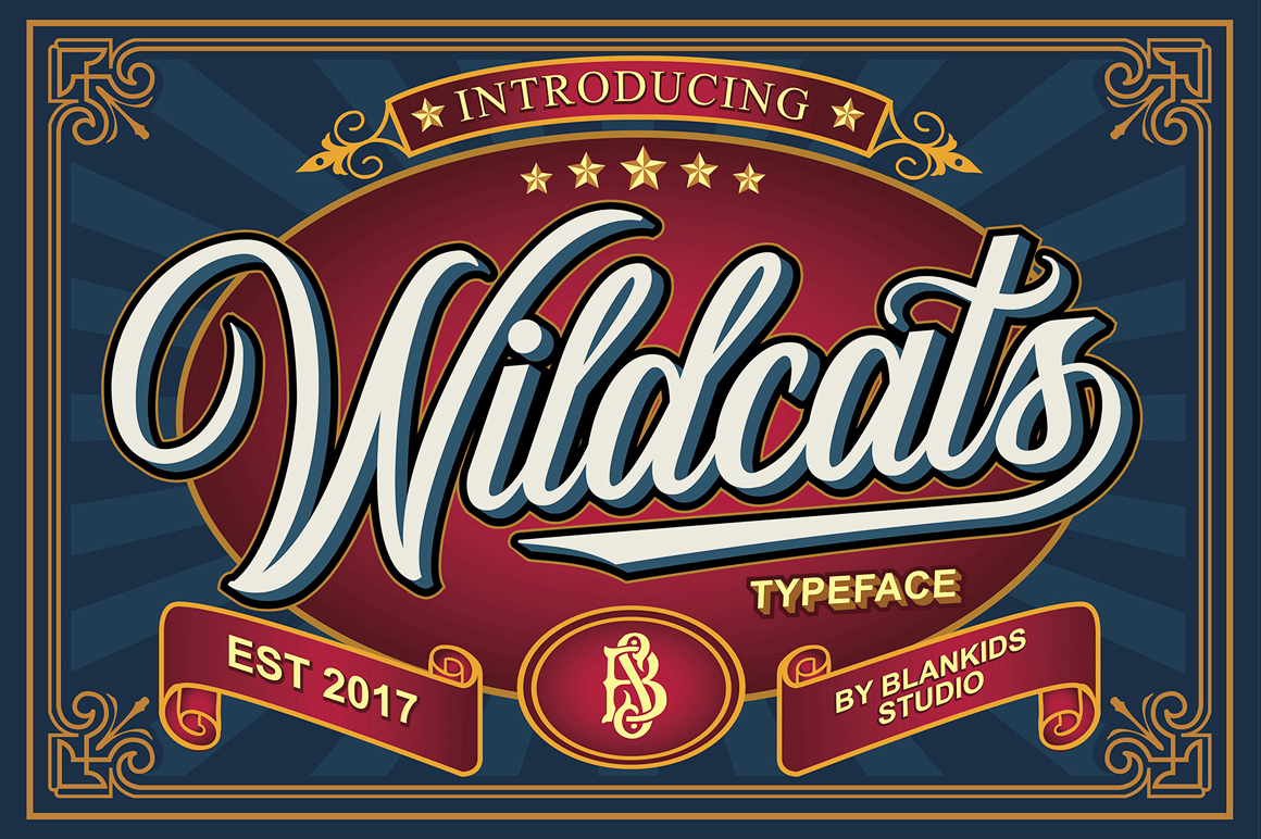 Understanding Wildcats: A Practical Guide for Informed Users